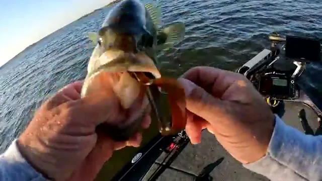 Big Bass Splash — Cómo jugar